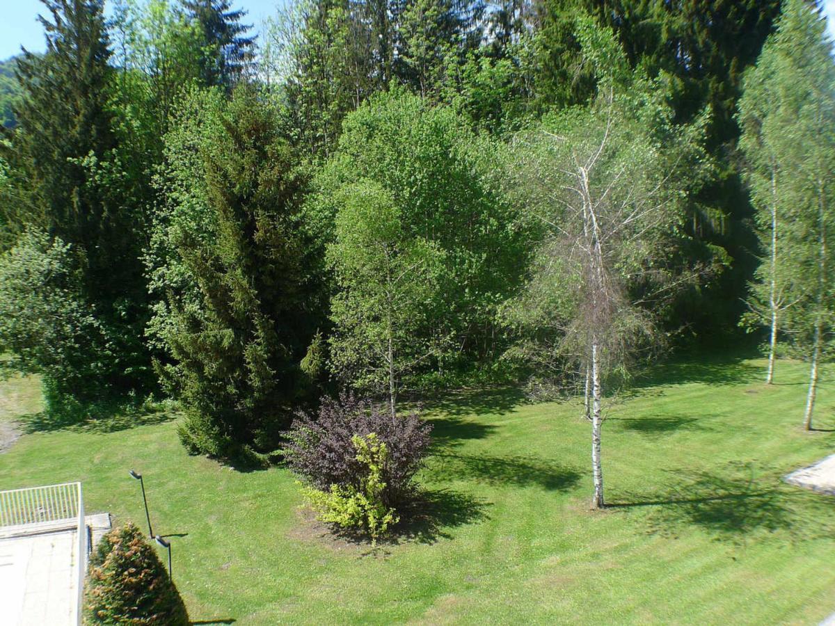 Appartement Samoëns, 3 pièces, 6 personnes - FR-1-629-100 Extérieur photo